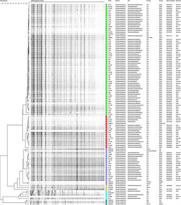 Evaluation of Molecular Epidemiology, Clinical Characteristics, Antifungal Susceptibility Profiles, and Molecular Mechanisms of Antifungal Resistance of Iranian Candida parapsilosis Species Complex Blood Isolates